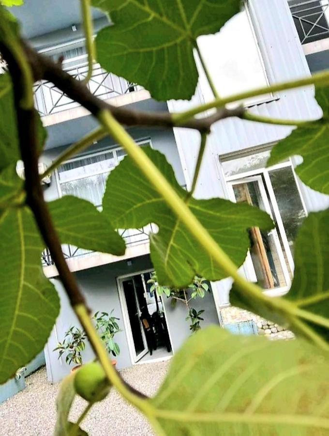 Rio Gonio Hotel Exterior photo